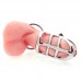 Metal Worx Cock Cage Silver Metal Worx Cock Cage Silver