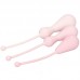Inspire Weighted Silicone Kegel Training Kit Inspire Weighted Silicone Kegel Training Kit