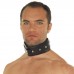 Cushioned Leather Collar With Ring Cushioned Leather Collar With Ring